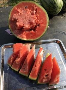 吃瓜网红北京,揭秘京城娱乐圈幕后故事  第2张